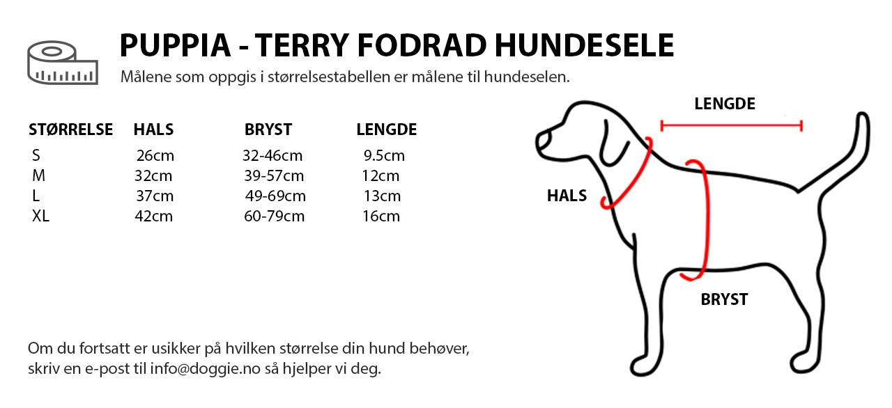 PUPPIA - TERRY FODRAD HUNDSELE NO.jpg