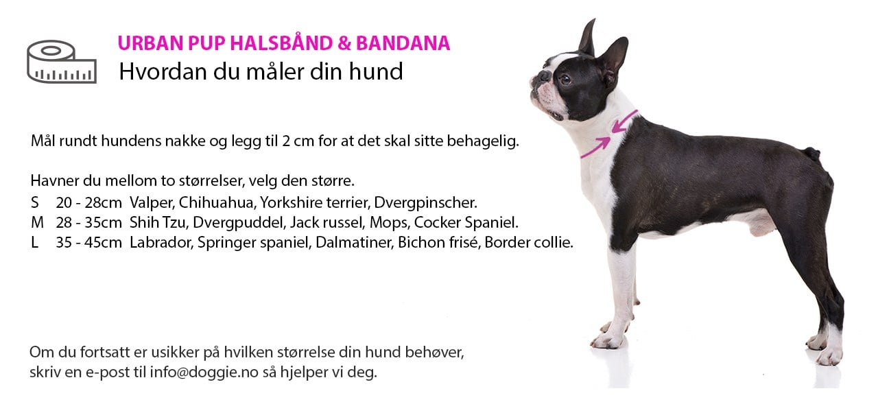 Urban Pup Sizing Collar & Bandana NO.jpg