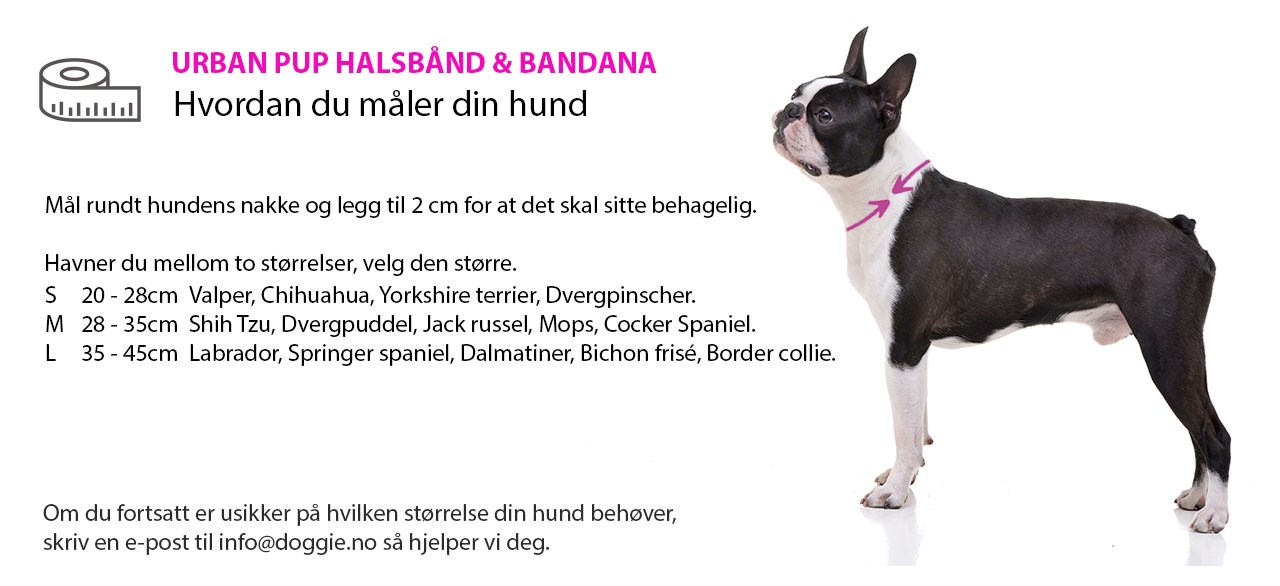 Urban Pup Sizing Collar & Bandana NO.jpg