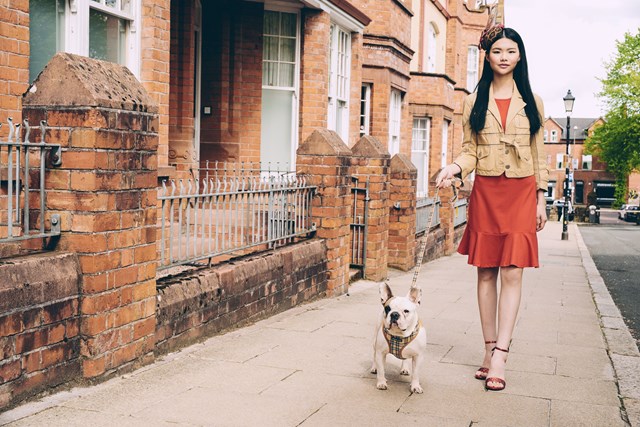 Brown Tartan Hundesele