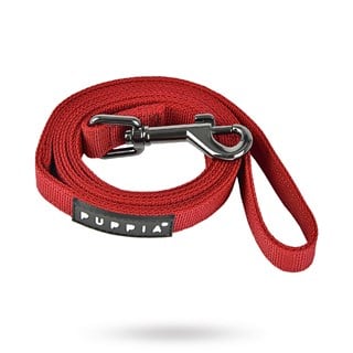 Two-tone Wine - Hundekobbel