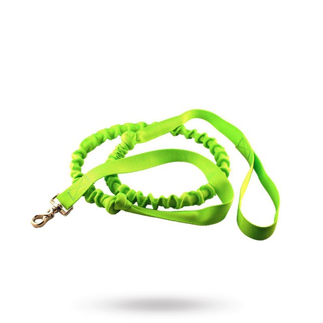 Alac bungee lead Pro - Limegrön