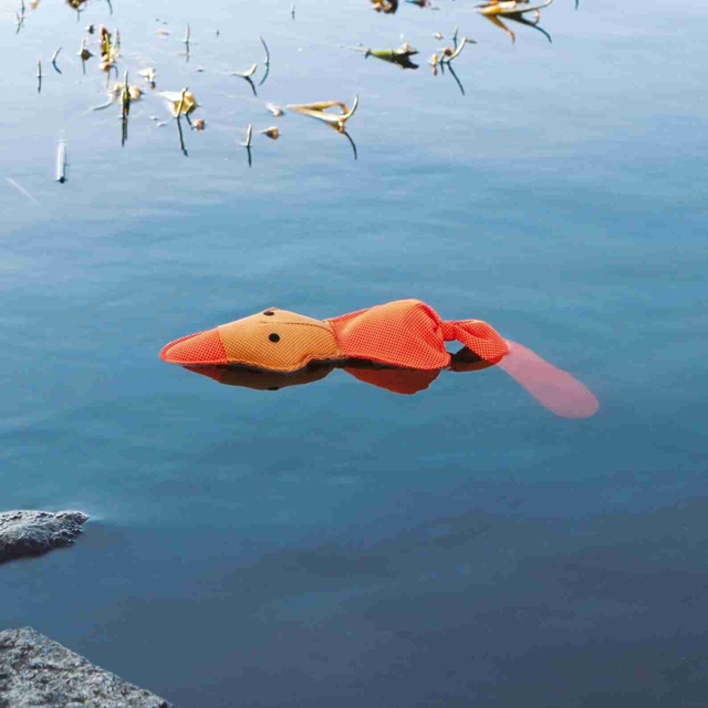 And med lyd 50 cm – flytende hundeleke
