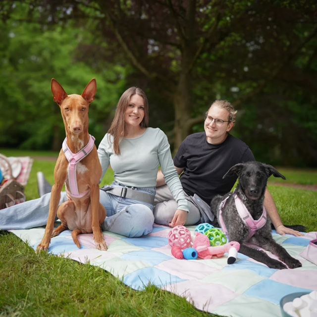 Anny-X Fun Hundesele Cotton Candy