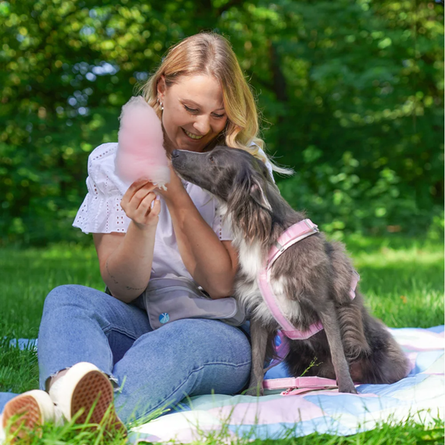 Anny-X Fun Hundesele Cotton Candy