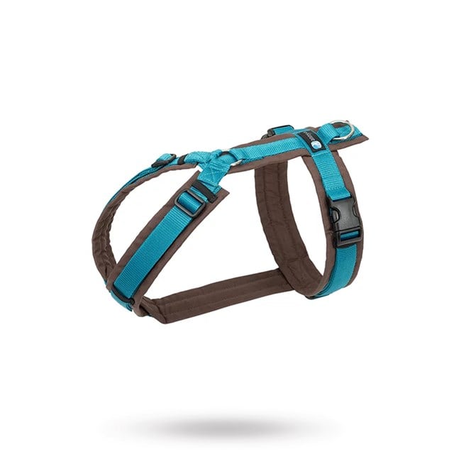 Anny-X Fun Hundsele Brun/Petrol