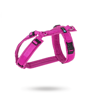 Anny-x Fun Hundesele Echinacea