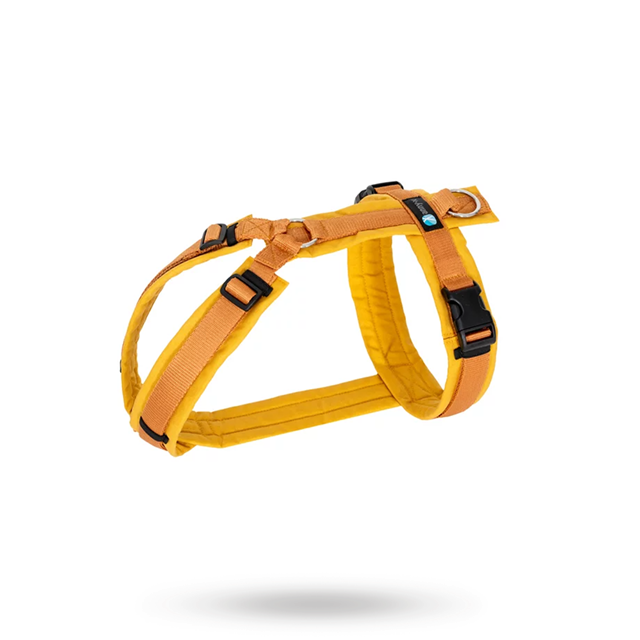 Anny-X Fun Hundesele Forsythia