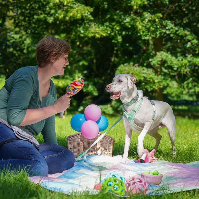 Anny-X Fun Hundesele Lollipop