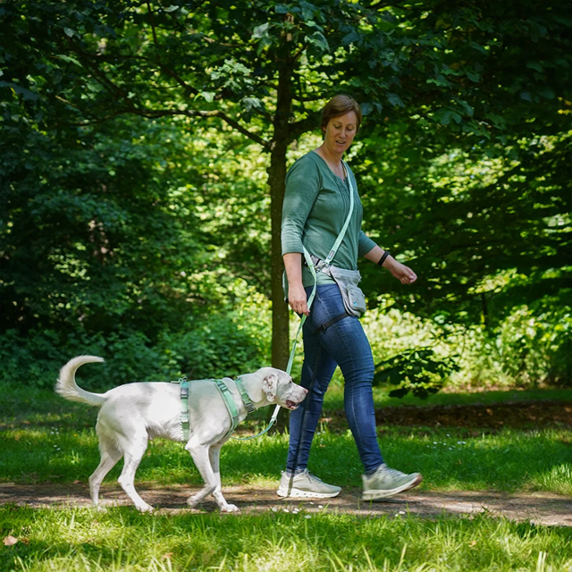 Anny-X Fun Hundesele Lollipop