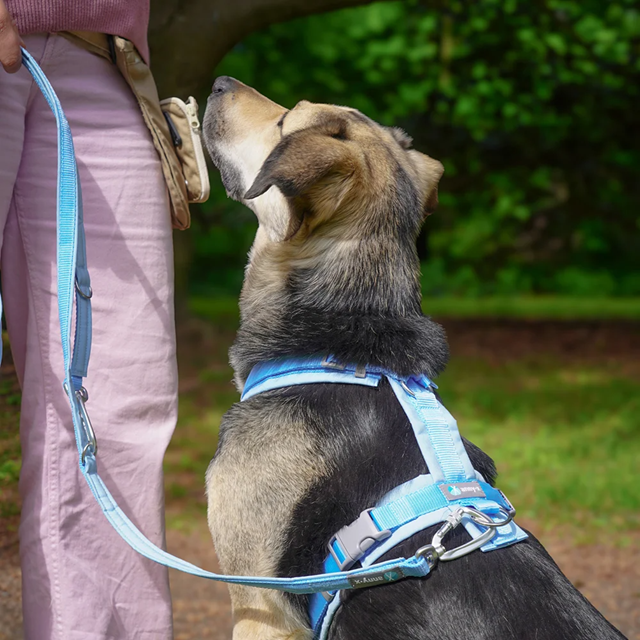Anny-X Fun Hundesele Marshmallow