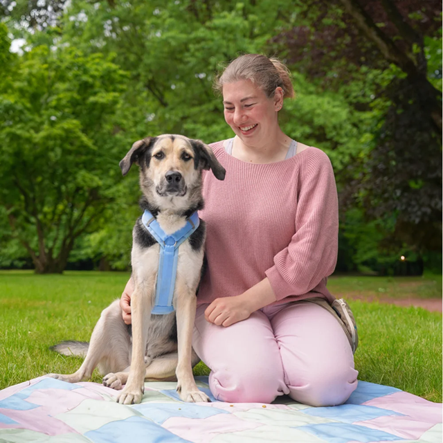 Anny-X Fun Hundesele Marshmallow