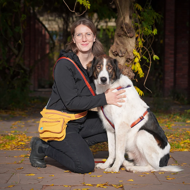 Anny-X Fun Hundesele Plum