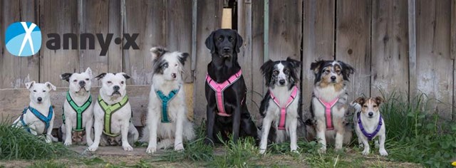 Anny-X Fun Hundesele Svart/Svart