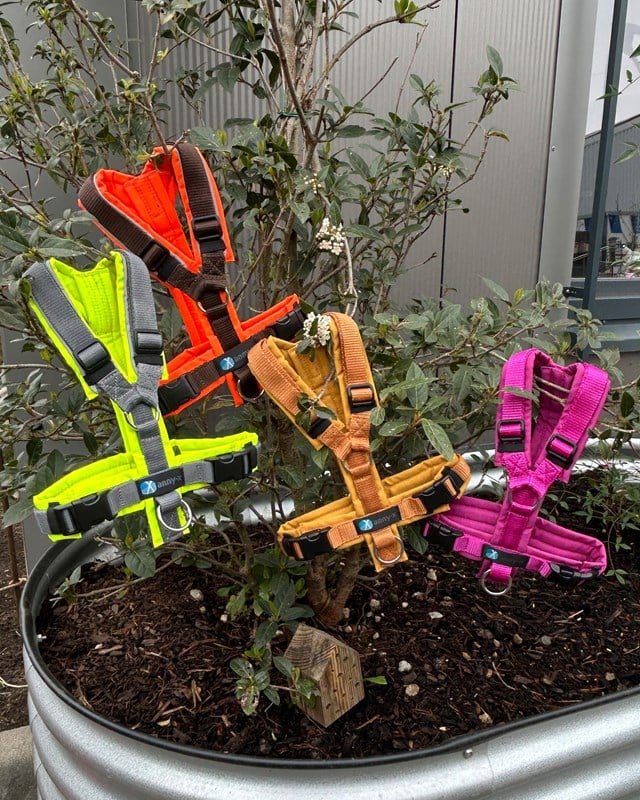 ANNY-X HUNDSELE PROTECT LUMINOUS GUL/GRÅ