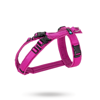 Anny-x Open Fun Hundesele Echinacea