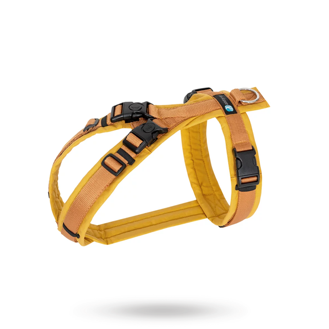 Anny-X Open Fun Hundesele Forsythia