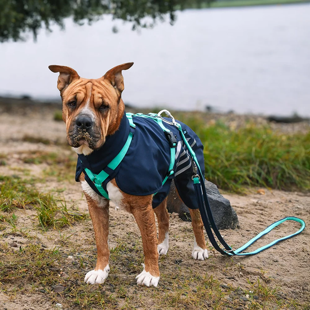 Anny-X Safety Fun Kobbel - Ocean