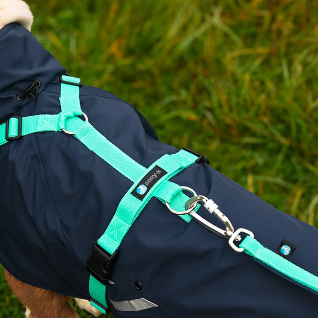 Anny-X Safety Fun Kobbel - Ocean