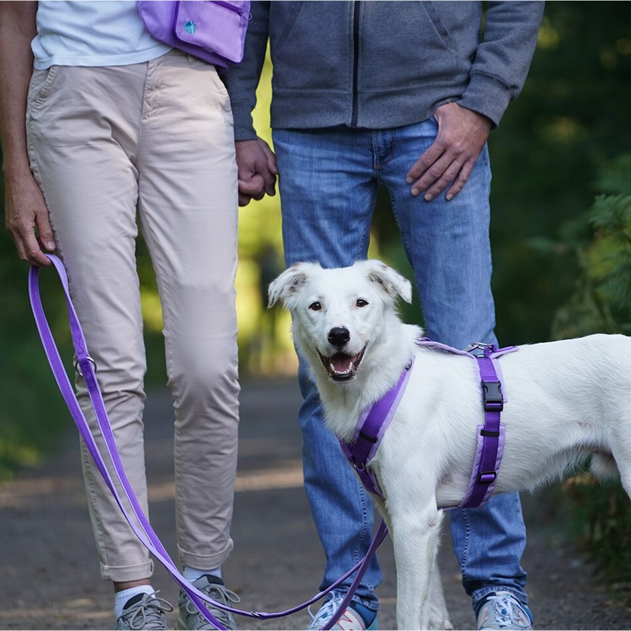 Anny-X Safety Fun Kobbel - Lavender - Rask levering & 14 dagers åpent kjøp