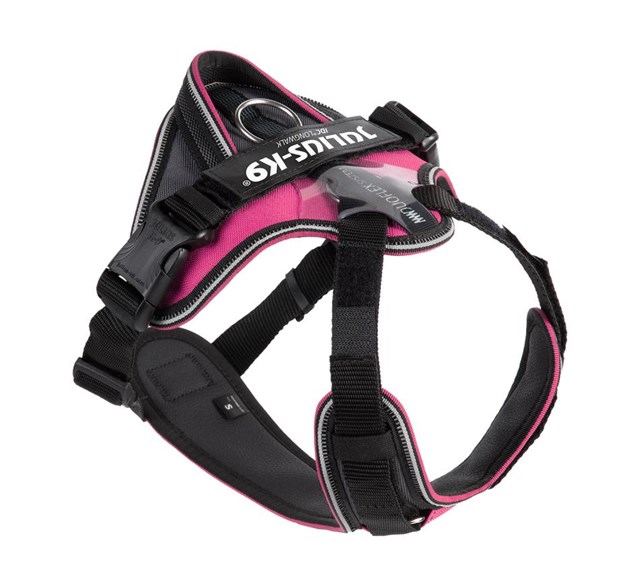 K9 IDC Longwalk Pink/Grey