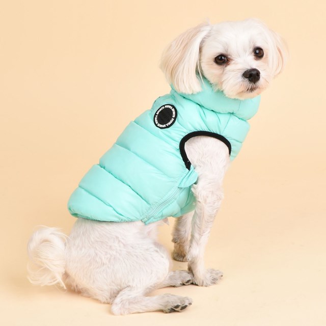 Ultra Light Vest B Sky Blue Dog Vest