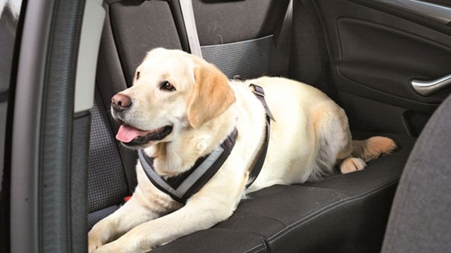 MiM AllSafe Krasjtestet Bilsele