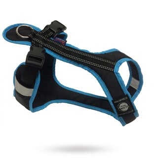 Zero Dc Shorter Svart & Turkos