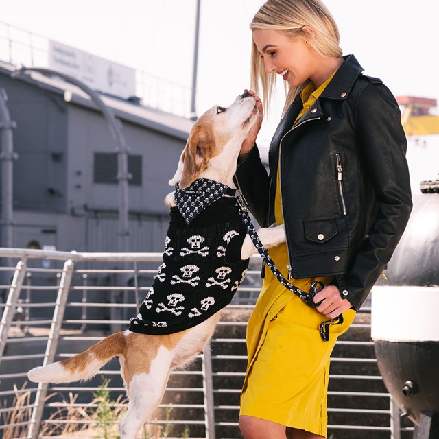 Black Skull - Strikket Hundegenser