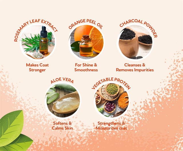 Ditch The Dirt Sjampo 300 ml