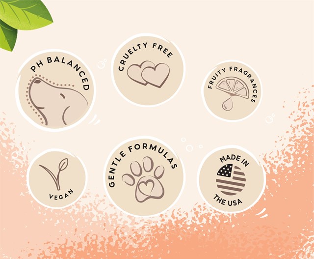 Ditch The Dirt Spray Tørrsjampo 300 ml