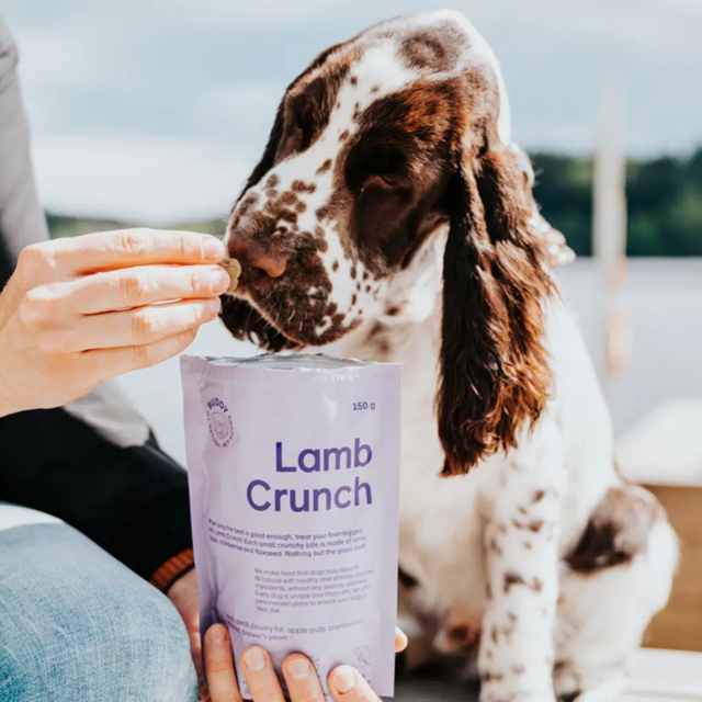 Buddy Crunchy Snack lamb & Cranberries 150g