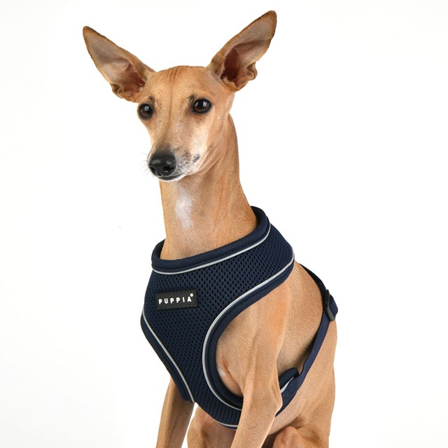 SOFT Harness A PRO Navy - Hundesele