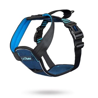 Carsafe Kollisjonstestet Bilsele - Blå