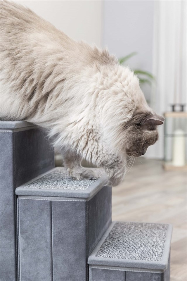 Stairs with storage space