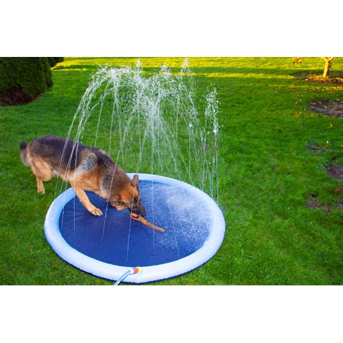 Companion Dog Splash Sprinkle Pad Ø150 cm