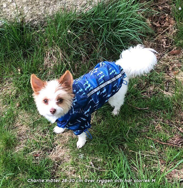 Storm Print Rainstorm - Regndekken