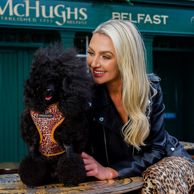 Cheetah Print Brown Harness