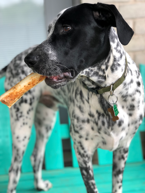 No-Hide Salmon Chews - Tyggebein