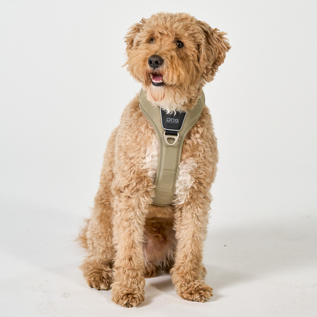 Comfort Walk Pro 3.0 - Desert Dune