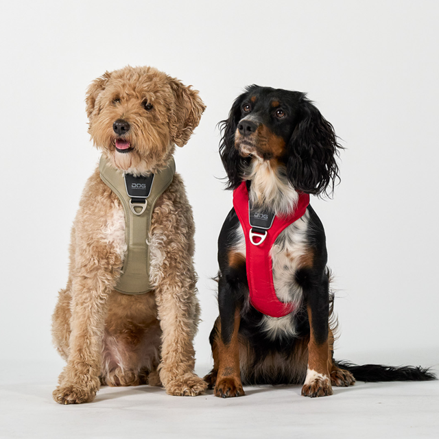 Comfort Walk Pro 3.0 - Desert Dune