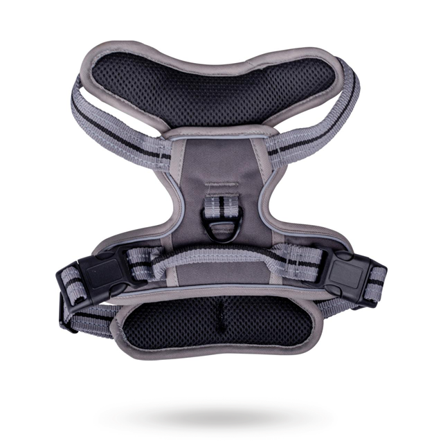 Companion No-Pull hundesele Grå