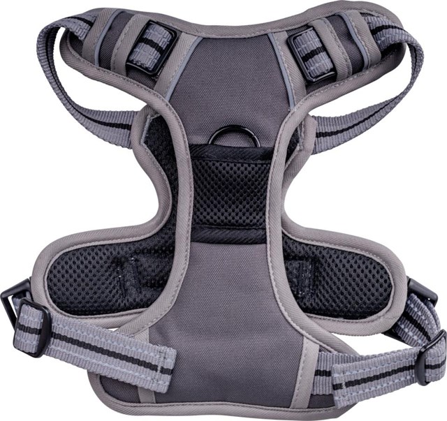 Companion No-Pull hundesele Grå