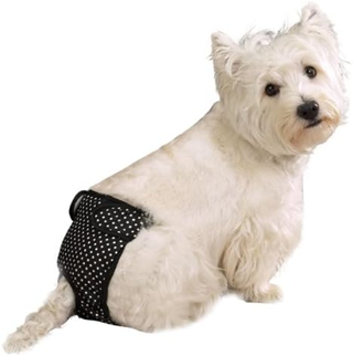 Cq Female Pup Pants Tispetruse - Svart