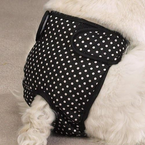 CQ Female Pup Pants Tispetruse - Svart