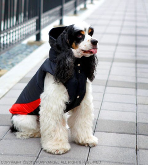 Urban Outdoor Hooded Padded Vest