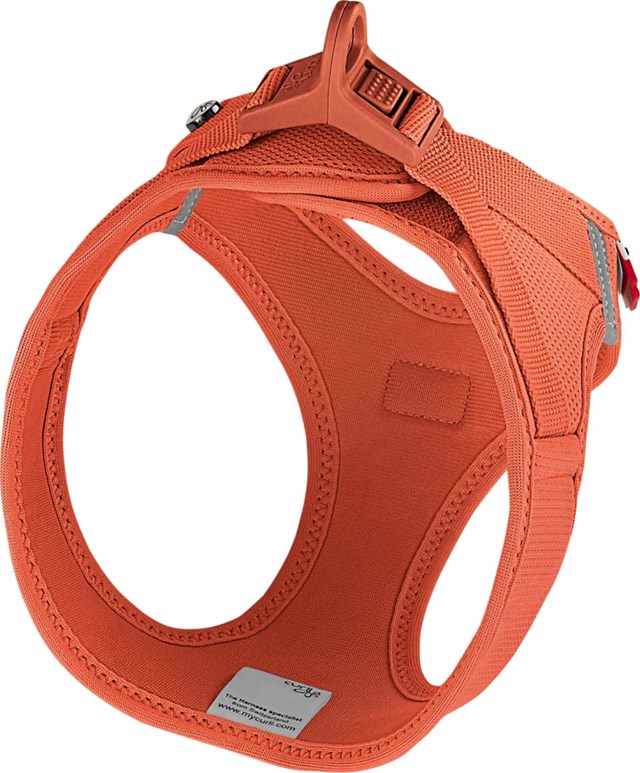 Curli Vest Clasp Air-Mesh Hundesele - Orange Sun