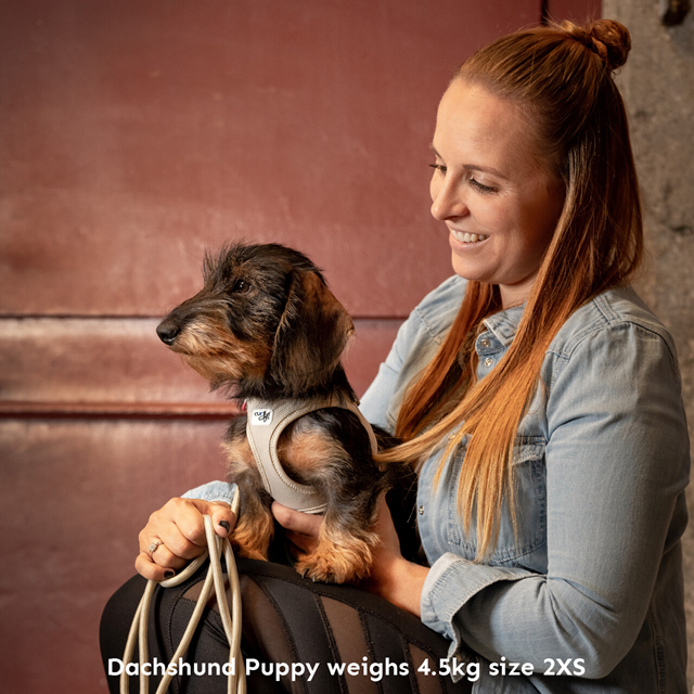 Curli Vest Clasp Air-Mesh Hundesele - Ruby