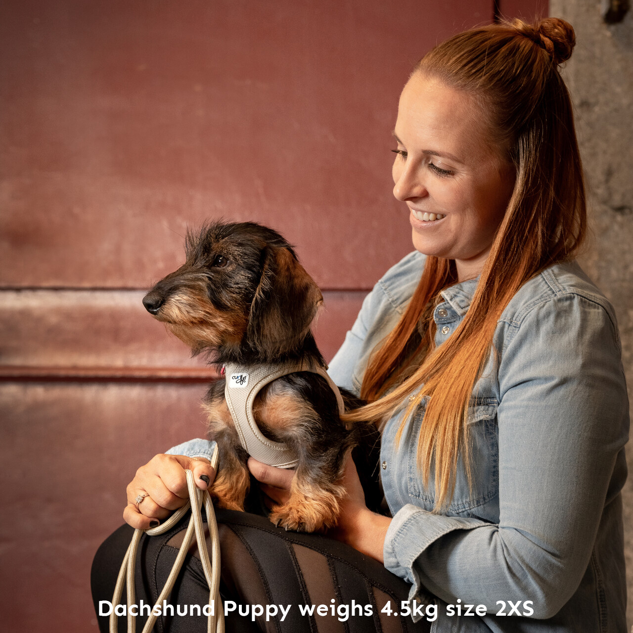 Curli Vest Clasp Air-Mesh Hundesele - Ruby - Rask levering & 14 dagers ...