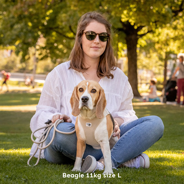 Curli Vest Clasp Air-Mesh Hundesele - Ruby